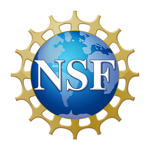 nsf-official-logo